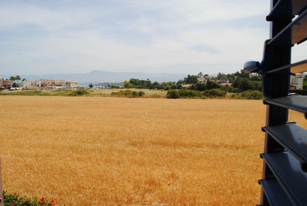 Villa Lachi Polis エクステリア 写真